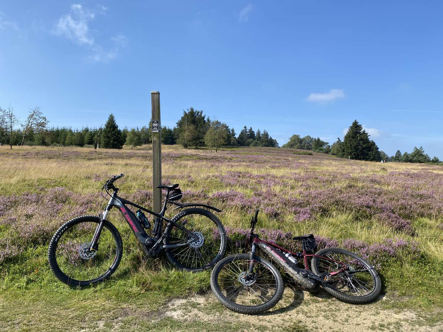 Berg-und Talfahrt im Sauerland inkl. Besichtigung Hochheideturm  