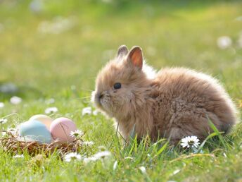 Ostern genießen