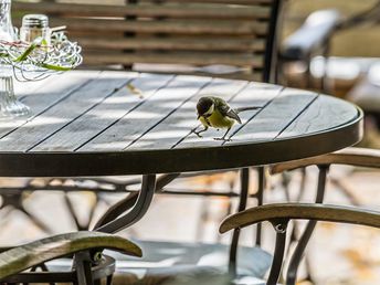 Für Feinschmecker: Genießen im Waldhotel