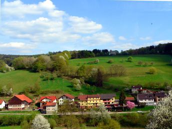 Eine Woche 7 Übernachtungen im Sagenhafter Odenwald  - Nähe Michelstadt und Heidelberg 