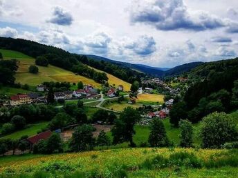 Eine Woche 7 Übernachtungen im Sagenhafter Odenwald  - Nähe Michelstadt und Heidelberg 