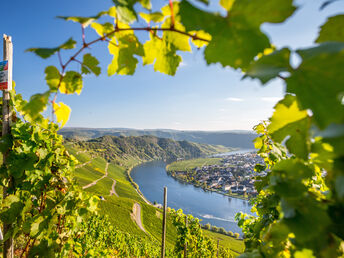 Mosel-Erlebniswoche inkl. Weinprobe & Planwagenfahrt