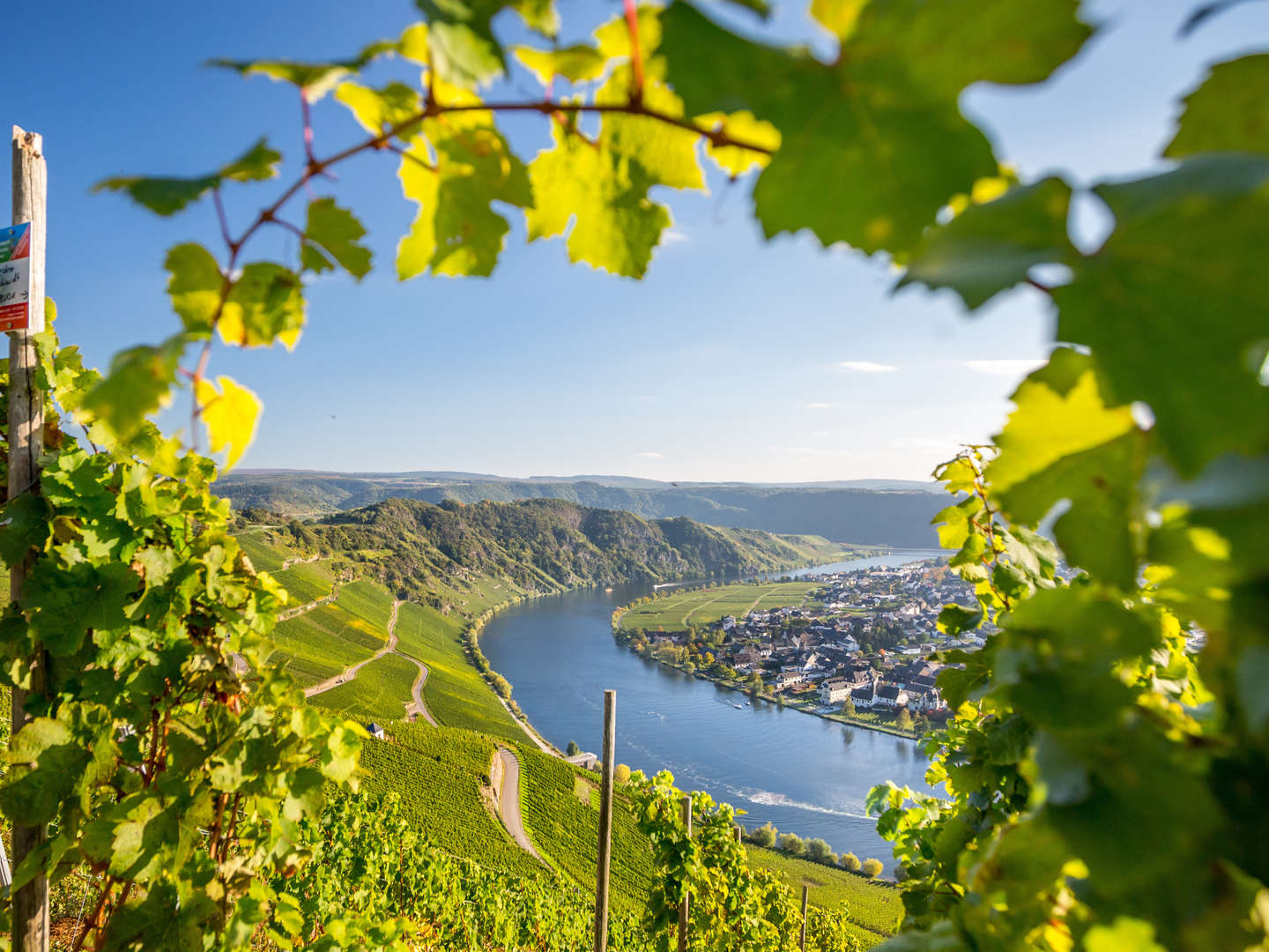 Mosel-Erlebniswoche inkl. Weinprobe & Planwagenfahrt