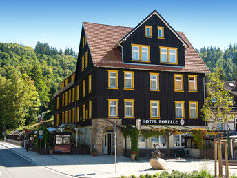 3 Tage Kurzurlaub im Harz