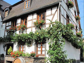 5 Tage Kurzurlaub an der Mosel 