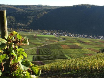 Per Schifffahrt die Mosel erkunden | Wein & Verwöhnmenü 