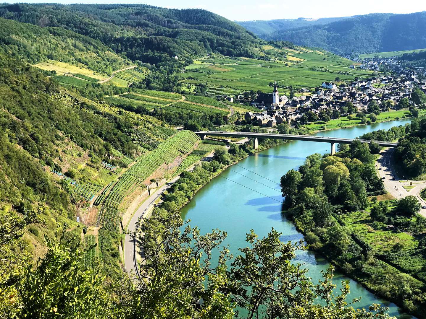  Wandertage an der Mosel inkl. Lunchpakete 