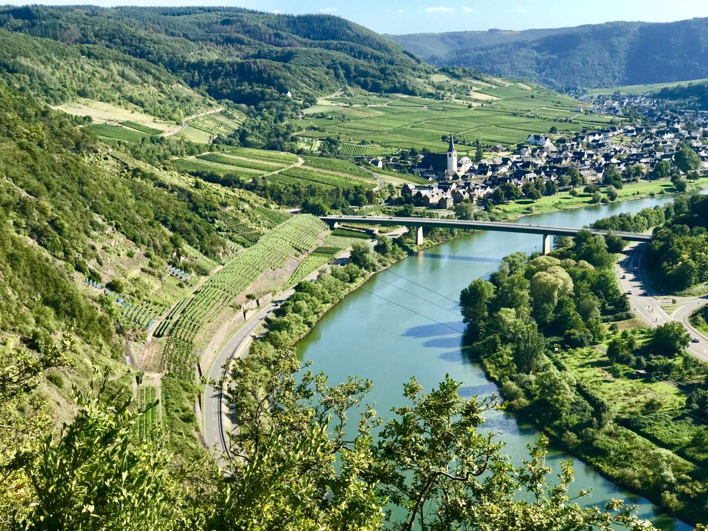  Wandertage an der Mosel inkl. Lunchpakete 