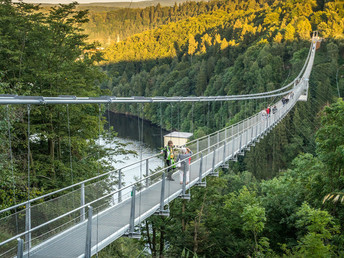 Winterliche Entdeckerreise im Harz 2 Tage 