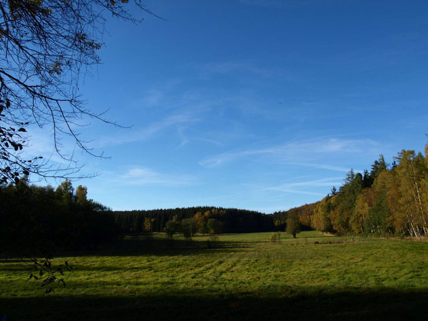 Genussvolle Pfingsten im wunderschönen Harz inkl. Halbpension 