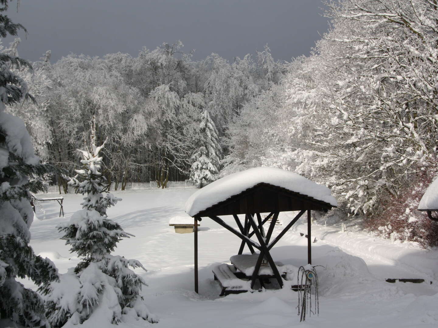 Genussvolle Pfingsten im wunderschönen Harz inkl. Halbpension 