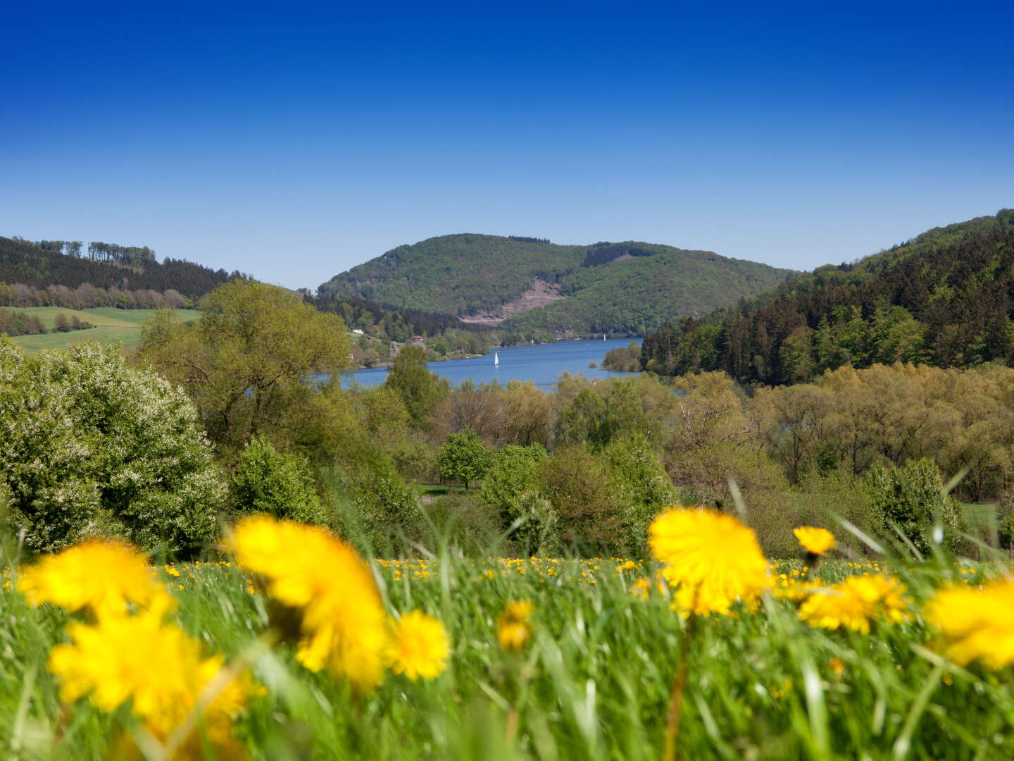 Sleep & Relax im Sauerland - 2 Tage