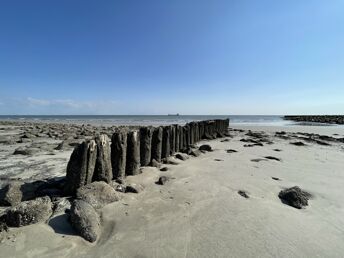 Schnupperaufenthalt auf der Ostfriesischen Insel Borkum