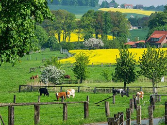 Frühlingserwachen am Teutoburger Wald im Ringhotel Landhotel Buller | 2 Nächte