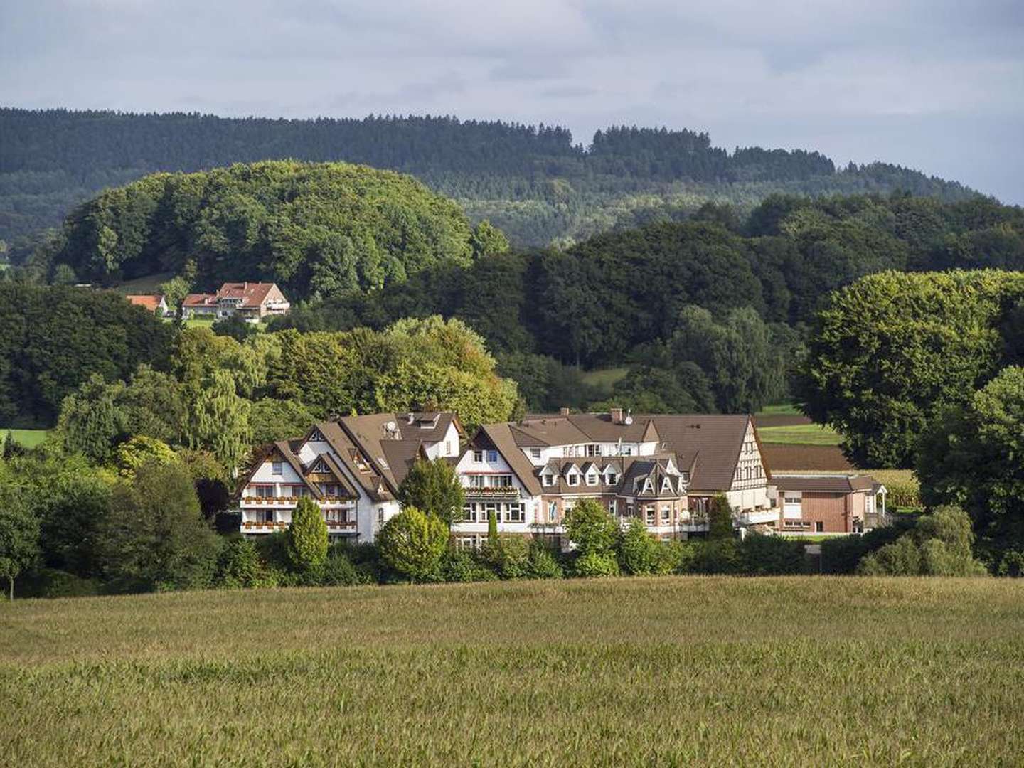 Frühlingserwachen am Teutoburger Wald im Ringhotel Landhotel Buller | 2 Nächte