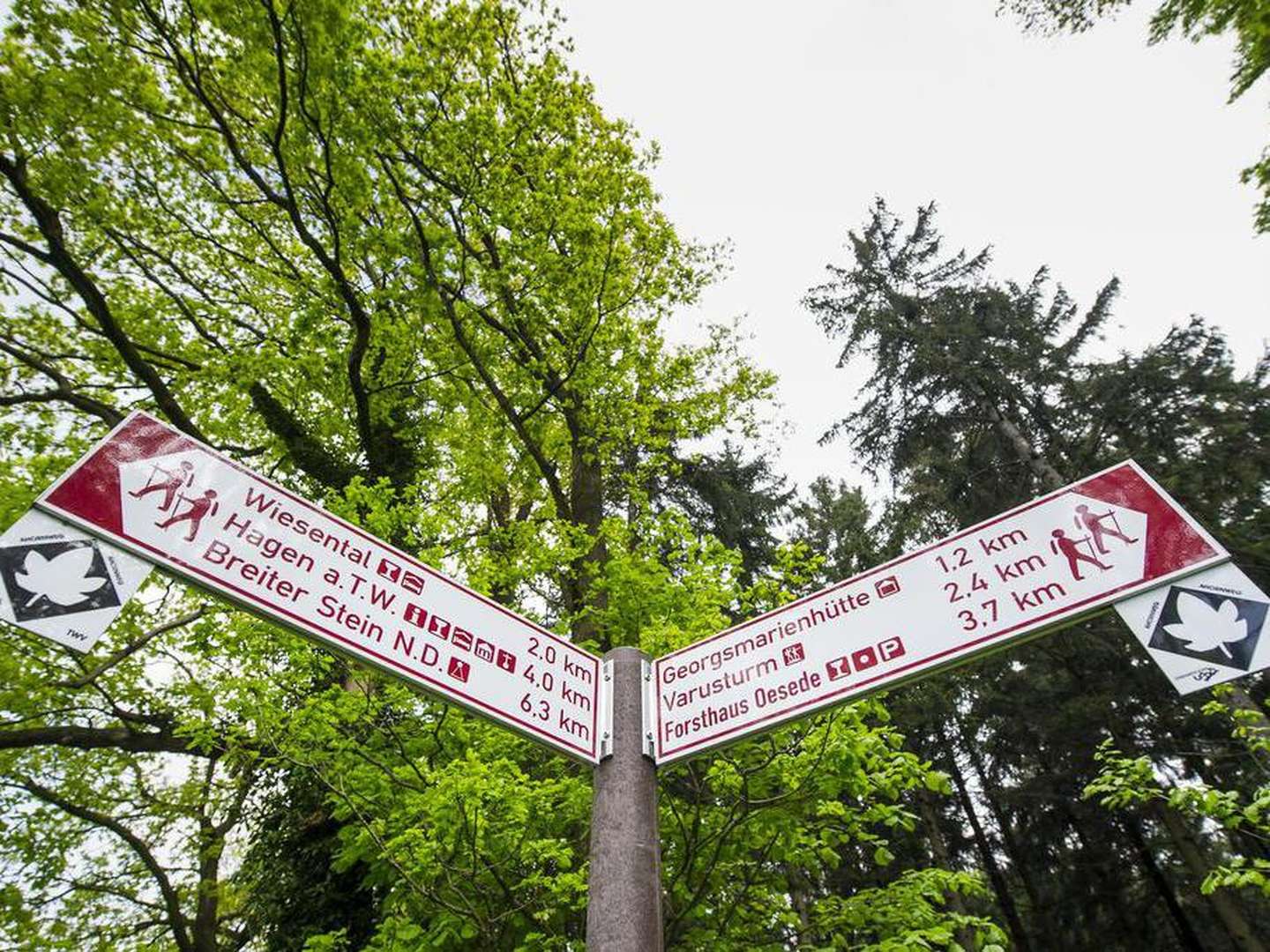 Frühlingserwachen am Teutoburger Wald im Ringhotel Landhotel Buller | 2 Nächte