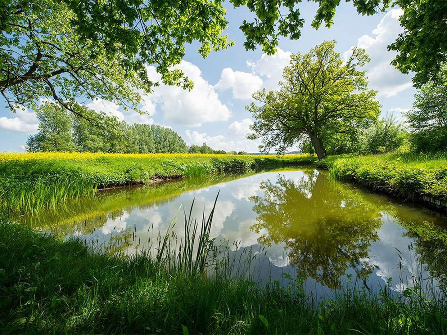 Frühlingserwachen am Teutoburger Wald im Ringhotel Landhotel Buller | 2 Nächte