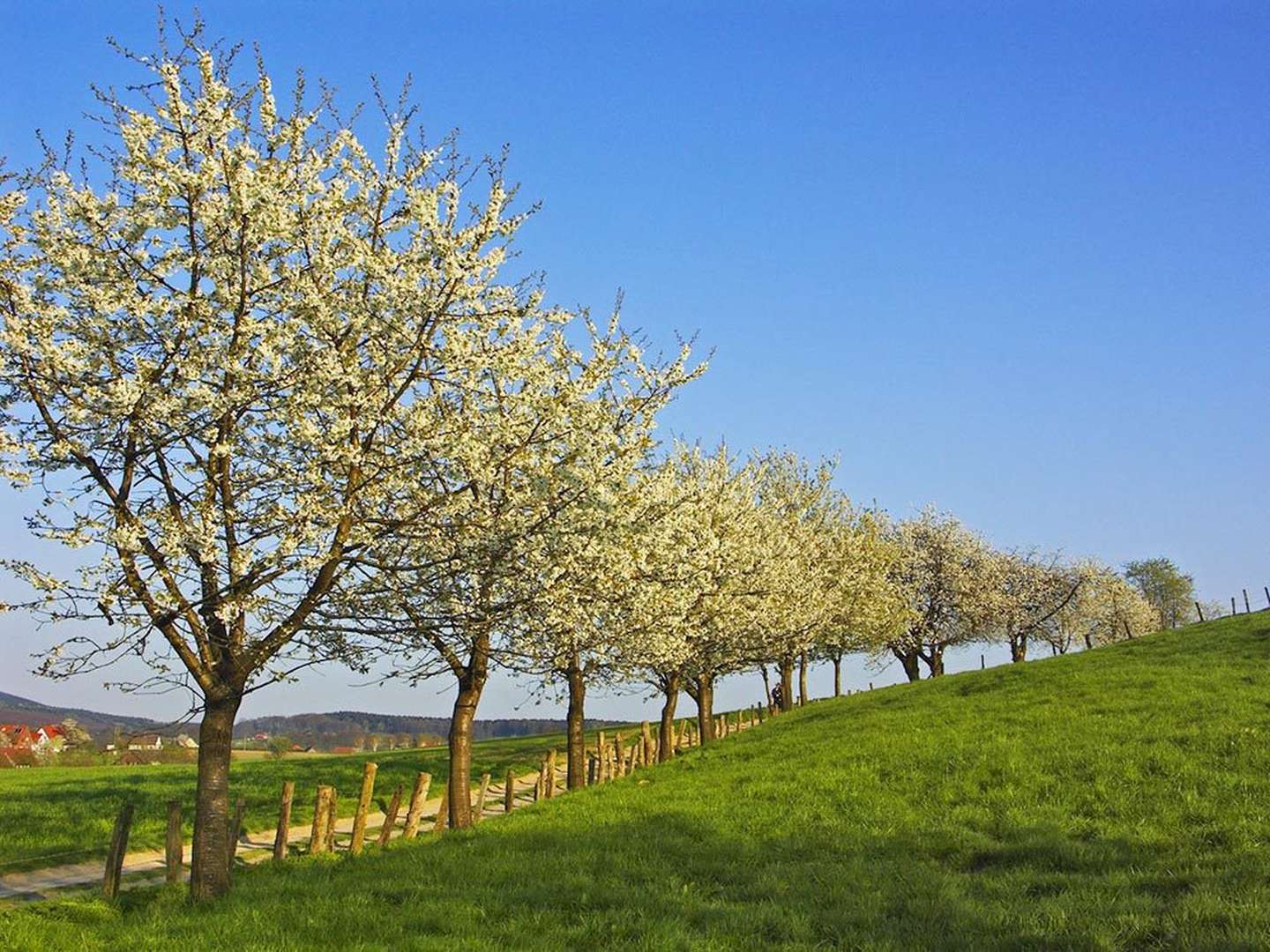 Frühlingserwachen am Teutoburger Wald im Ringhotel Landhotel Buller | 2 Nächte