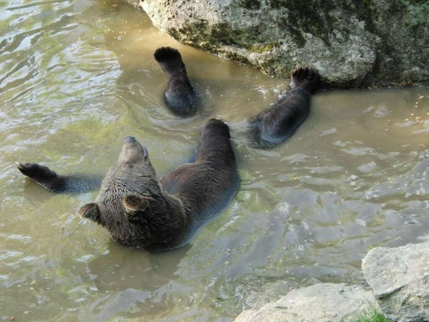 Esslingen für Familien - 3 Tage mit Tierpark