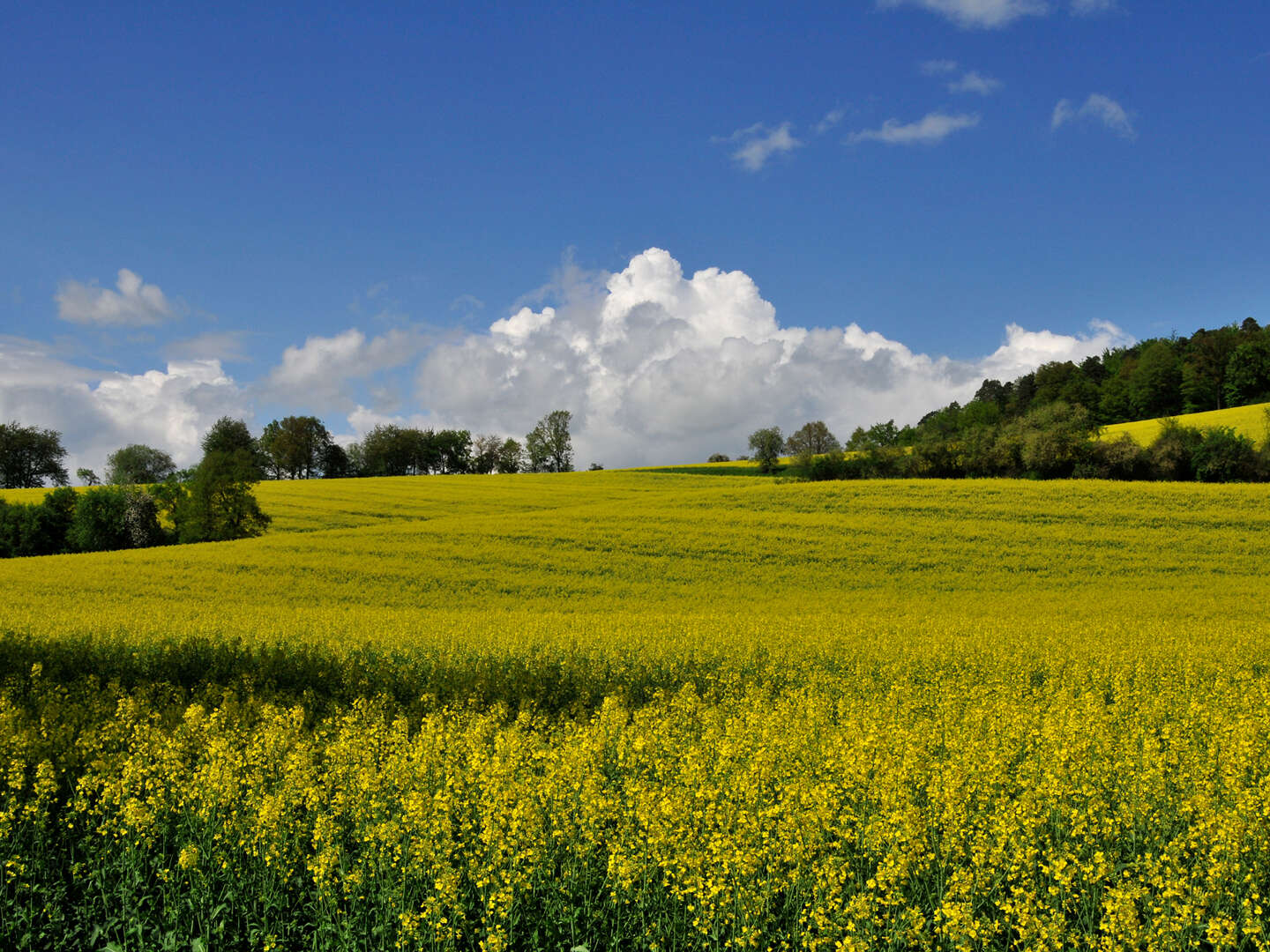 4 Tage Wandern, Radeln oder Biken im Rotkäppchenland in Hessen inkl. Halbpension