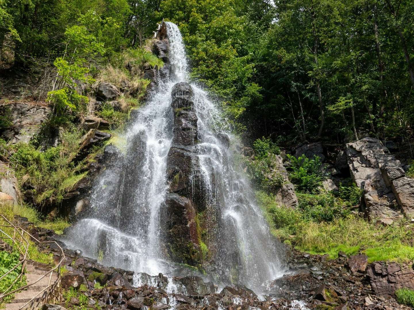 Unser Rhön-Wanderarrangement für Naturliebhaber  8 Tage 