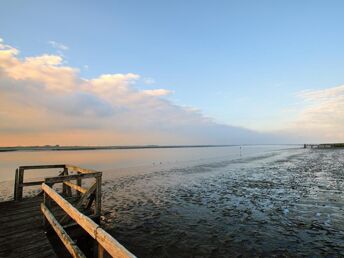 Naturerlebnis an der Nordsee inkl. Dinner & Wattforum