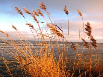 Usedom, Neujahr am Meer (2 Nächte)  