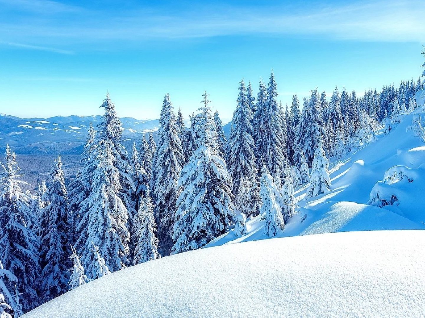 Winter in Oberhof