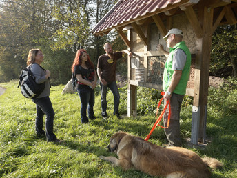 7 Tage in Ostwestfalen Lippe zw. Teutoburger Wald & Weser Bergland 