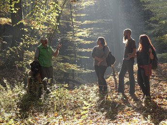 5 Tage inkl. Halbpension in Ostwestfalen Lippe zw. Teutoburger Wald & Weser Bergland 