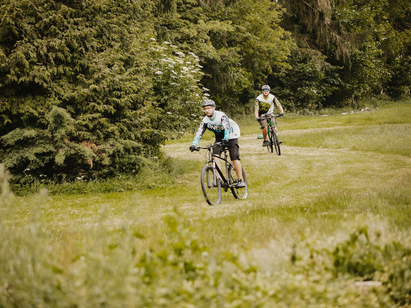 7 Tage in Ostwestfalen Lippe zw. Teutoburger Wald & Weser Bergland 