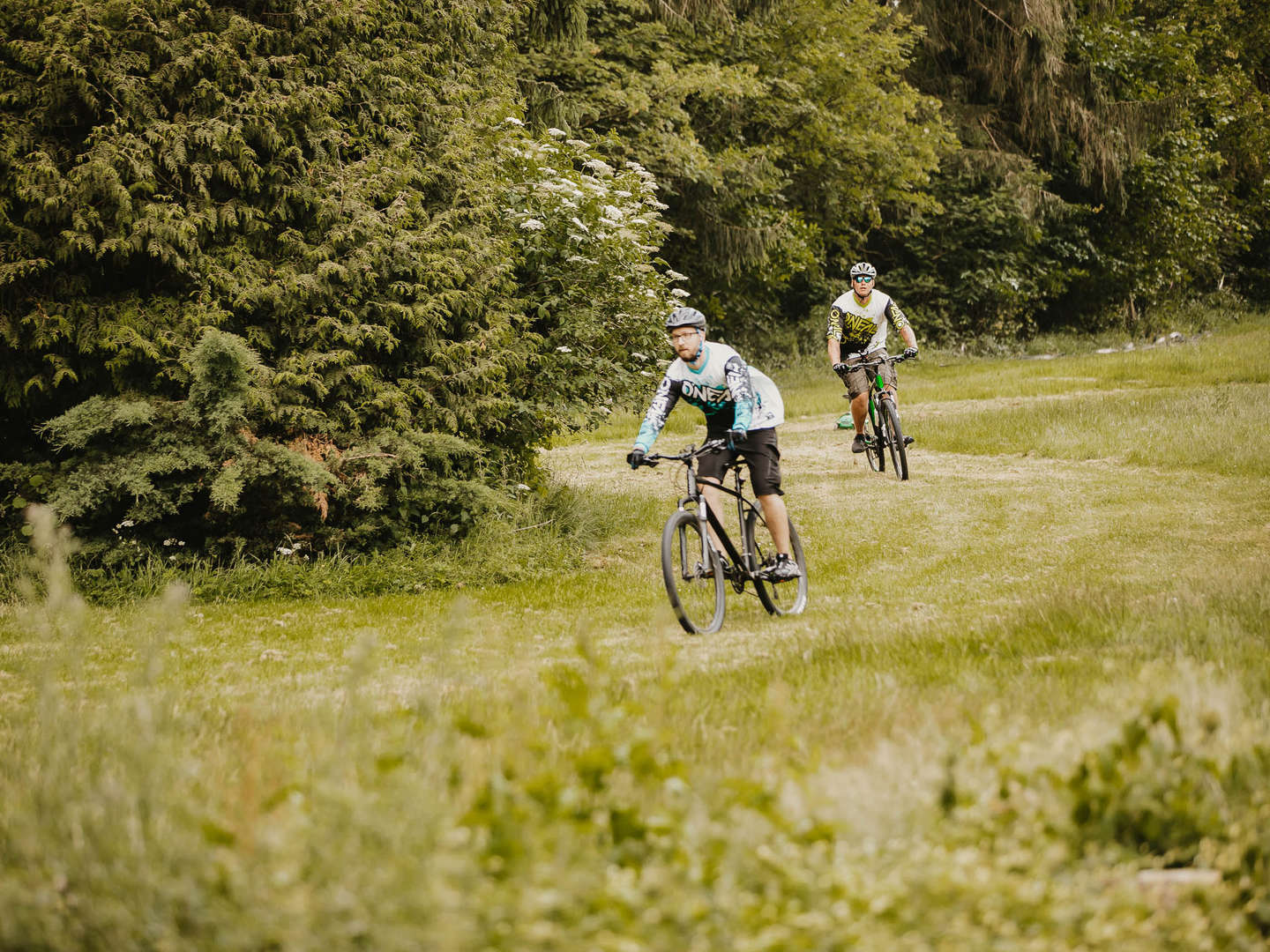 Bikerurlaub - 3 Tage zwischen Weserbergland & Teutoburger Wald