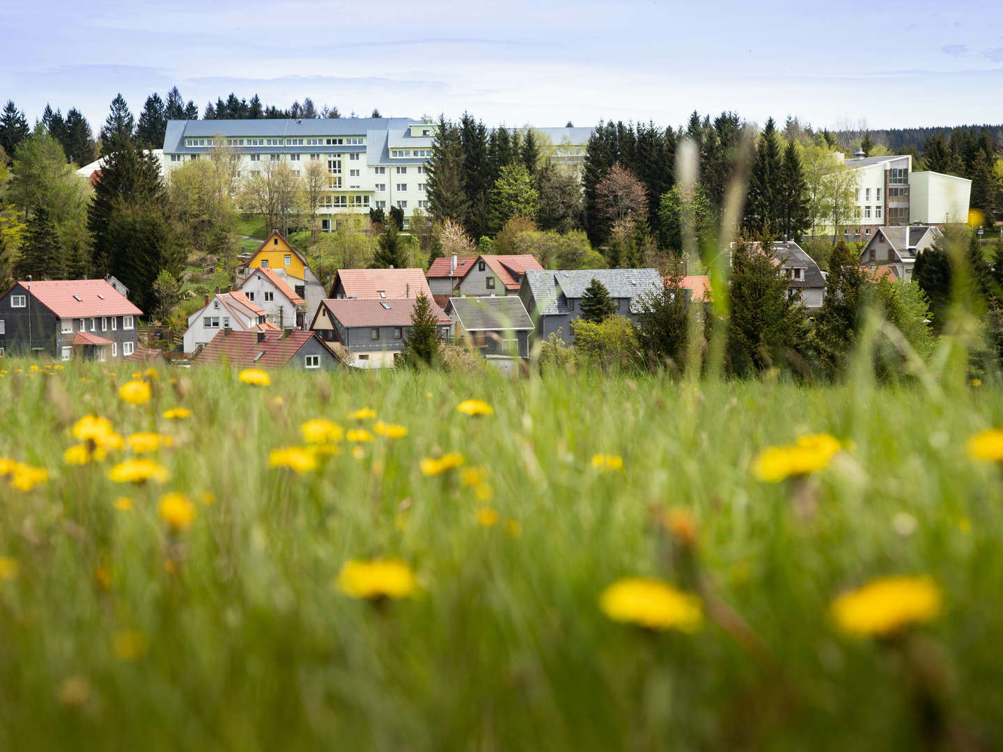 5 Tage Thüringer-Wald-Entdecker