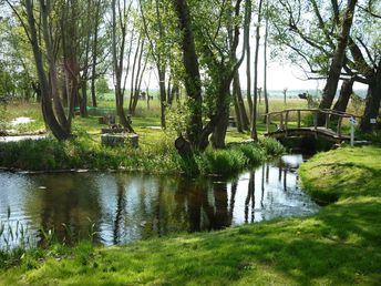 Ostseeurlaub für Naturliebhaber