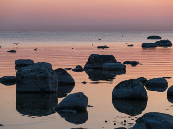 Ostseeurlaub für Naturliebhaber