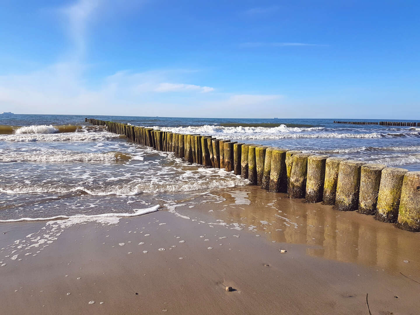 Ostseeurlaub für Naturliebhaber