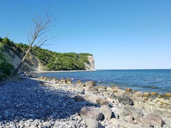 Ostseeurlaub für Naturliebhaber