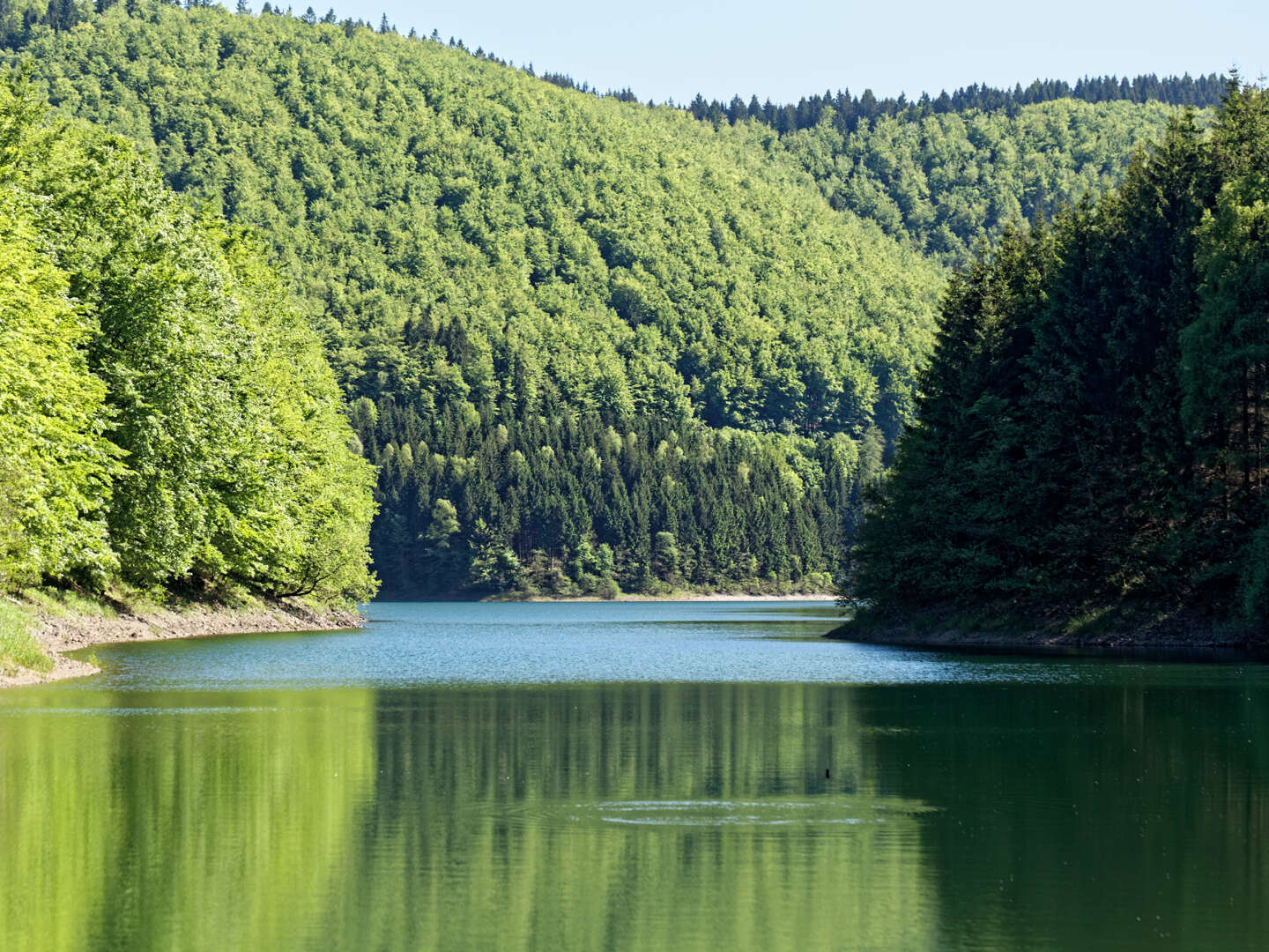 Eisenacher Kurztrip im Thüringer Wald | 2 Tage