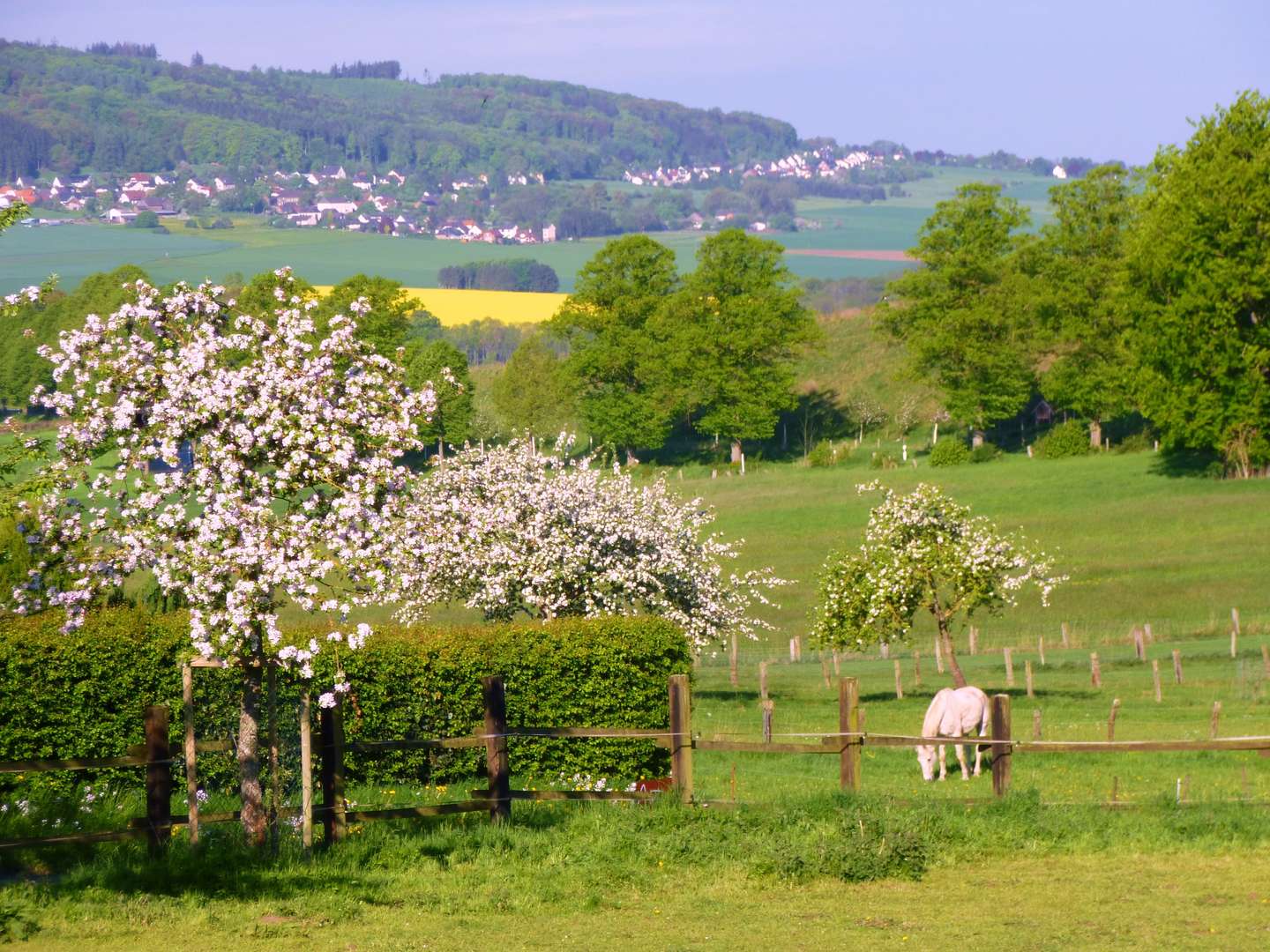 Verwöhn-Arrangement - 3 Tage das Sauerland entdecken inkl. HP