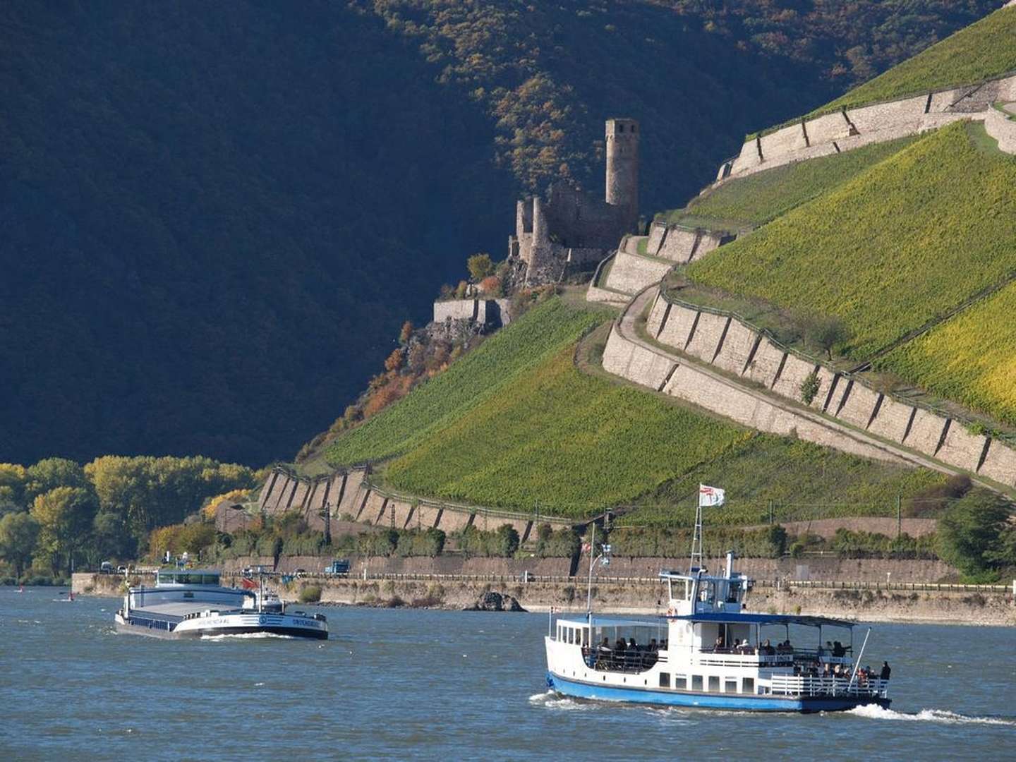 Bärenstarker Kurzurlaub | 3 Tage am Rhein inkl. Schifffahrt & Ticket 