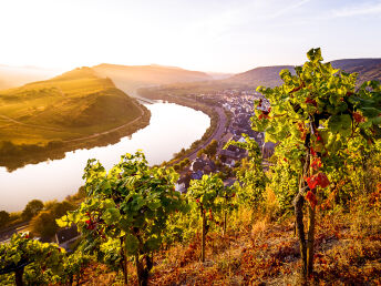 4=3 Sparangebot: 4 Tage Urlaub an der Mosel und den Weinbergen inkl. HP - nur 3 Tage zahlen 