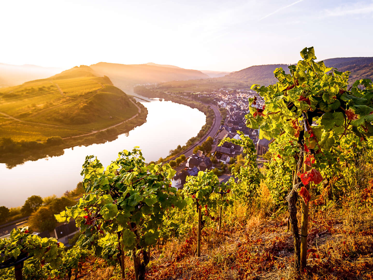 Braukeller Arrangement direkt an der Mosel im Weinhotel