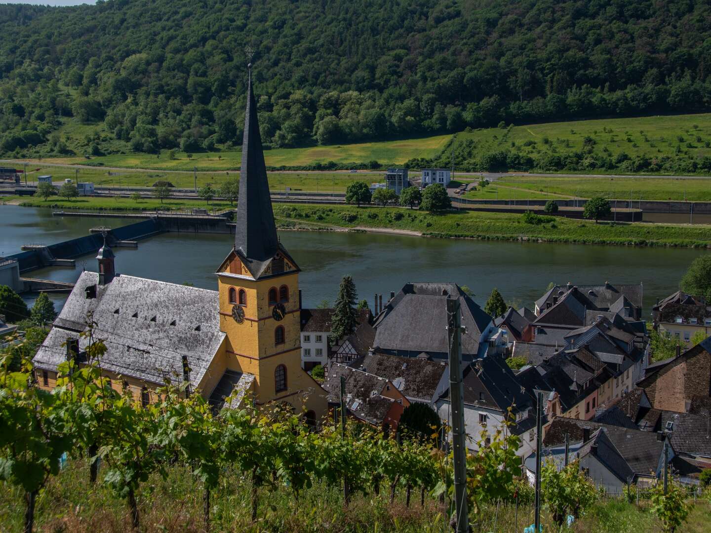 Braukeller Arrangement direkt an der Mosel im Weinhotel