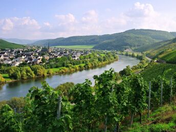 4=3 Sparangebot: 4 Tage Urlaub an der Mosel und den Weinbergen inkl. HP - nur 3 Tage zahlen 