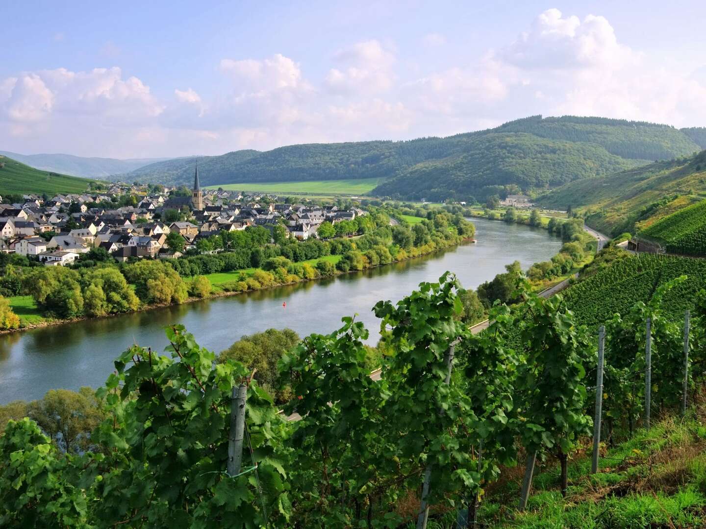 5=4  Sparangebot in herrlicher Natur rund um die Weinberge - Exklusiv mit Zusatzleistungen