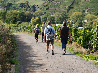 7=6  Sparangebot in herrlicher Natur rund um die Weinberge 2