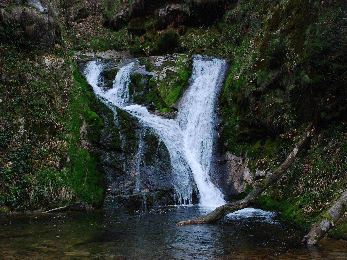 4 Wandertage im schönen Schwarzwald inkl. Halbpension