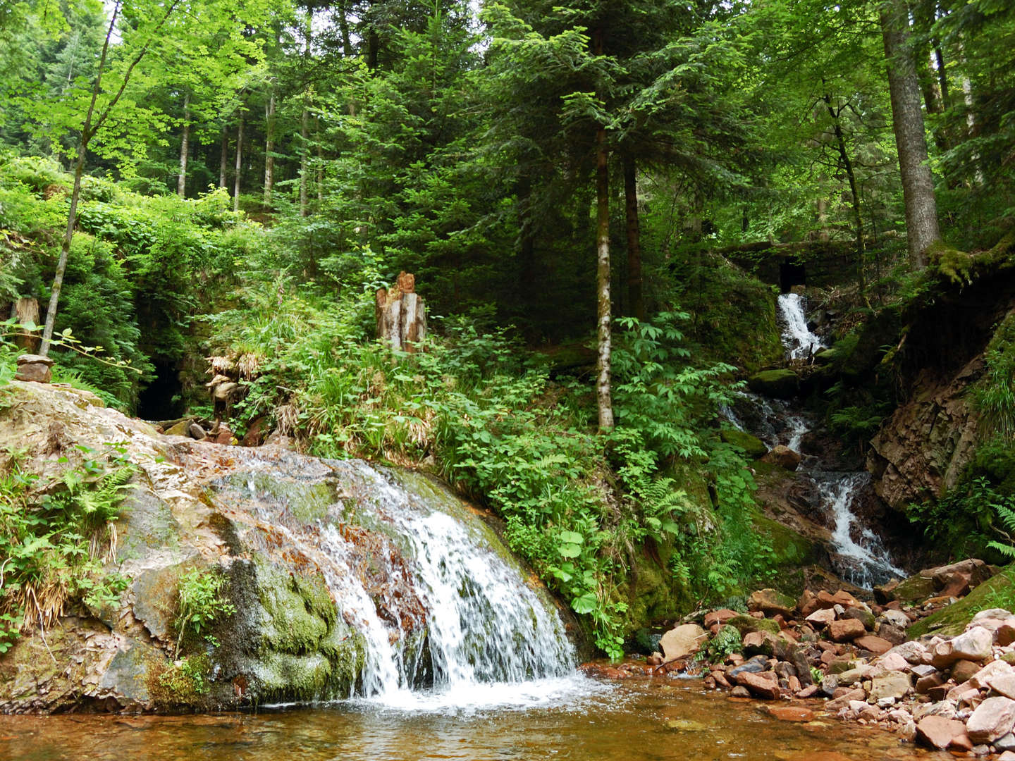 4 Wandertage im schönen Schwarzwald inkl. Halbpension