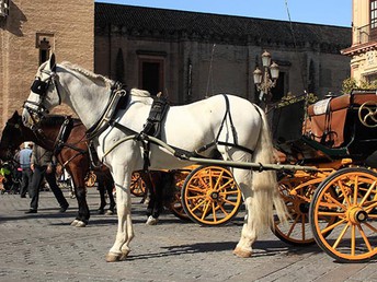 Moritzburg Erleben im Winter inkl. Abendessen & Kutschfahrt