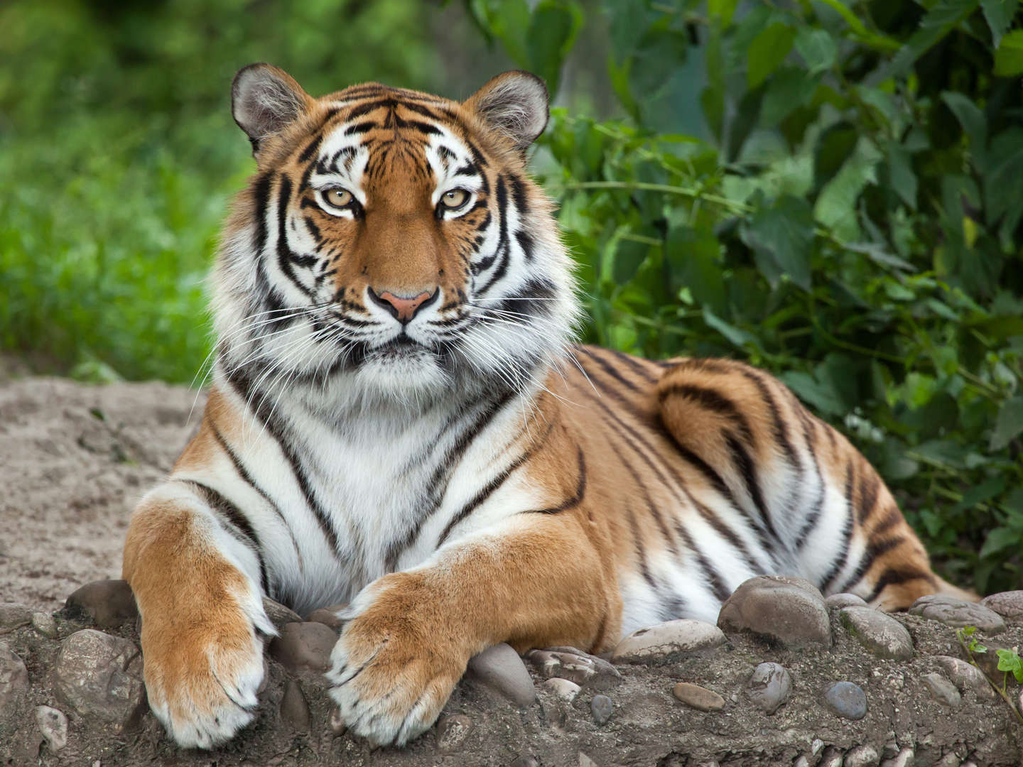 Familienurlaub im Ruhrgebiet inkl. Dortmunder Zoo & Schifffahrt - 6 Tage